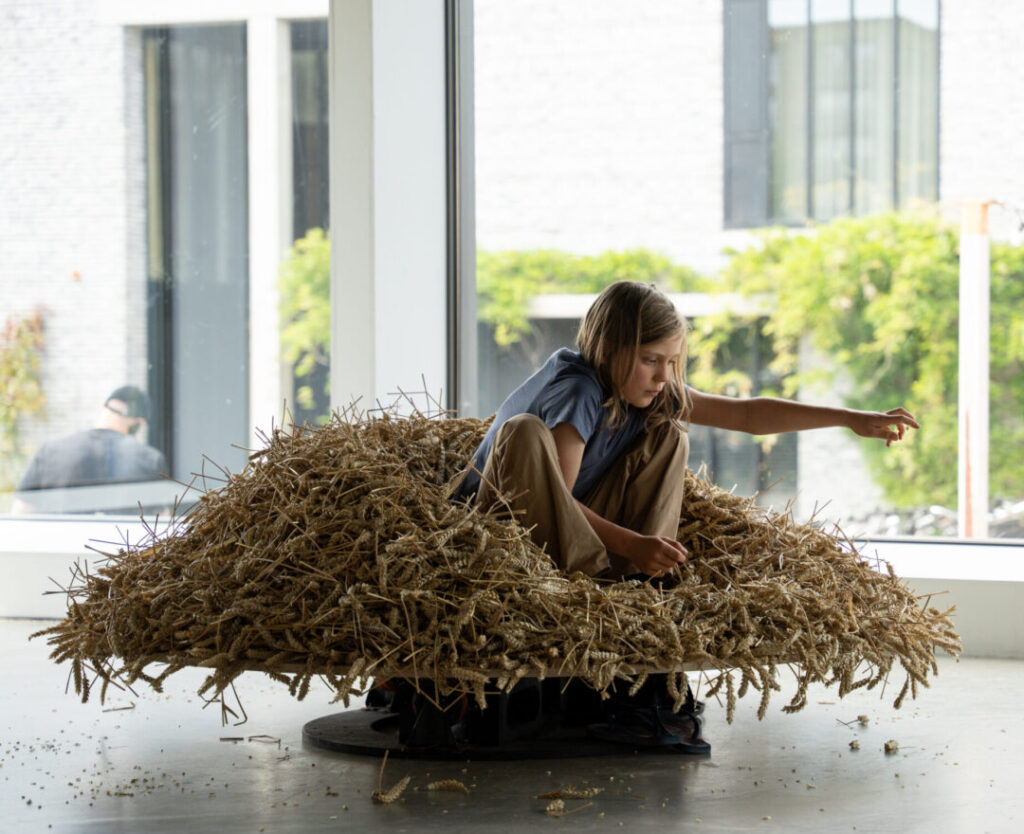 Courtesy of the Artist